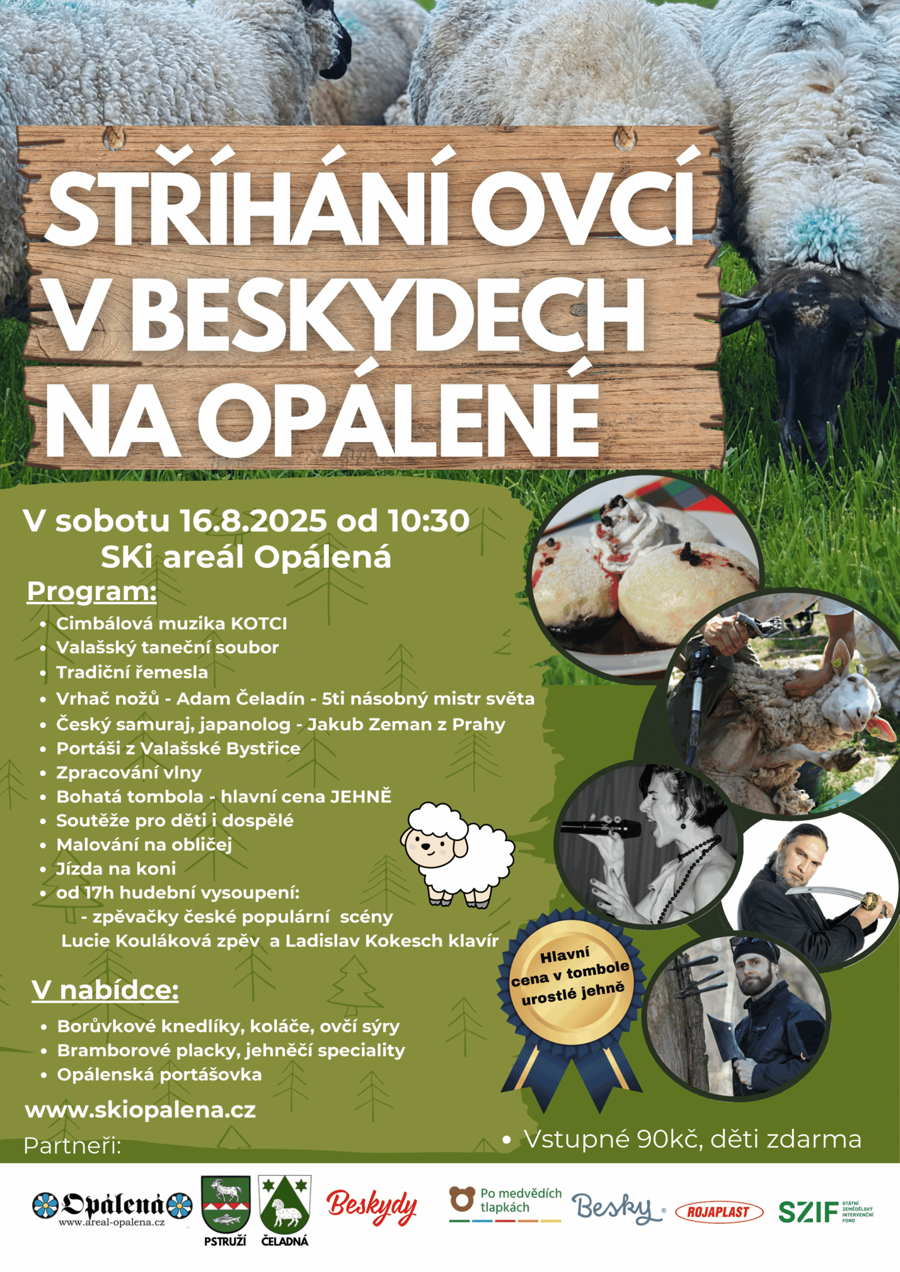 Stříhání ovcí v Beskydech 2025
